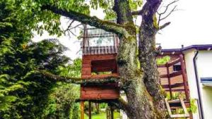how to construct a tree house